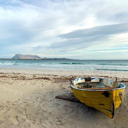 Camping San Teodoro La Cinta Hotell Eksteriør bilde